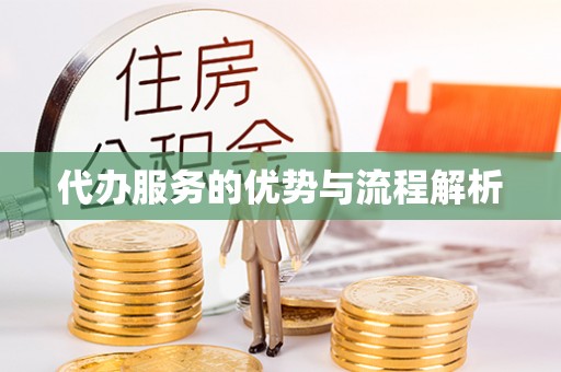 荔波代办服务的优势与流程解析