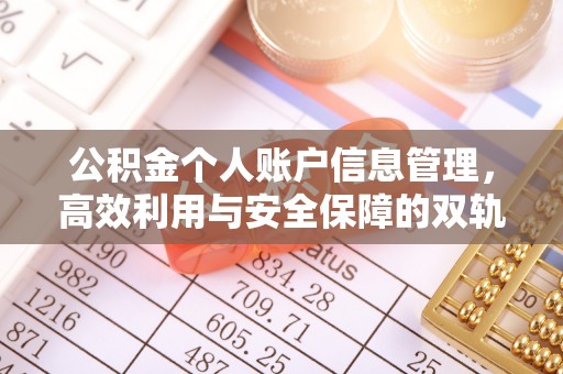 荔波公积金个人账户信息管理，高效利用与安全保障的双轨并行