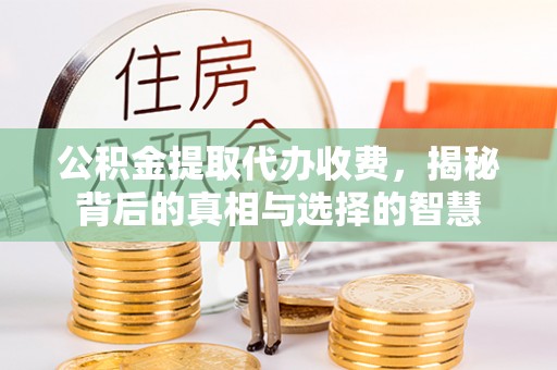 荔波公积金提取代办收费，揭秘背后的真相与选择的智慧