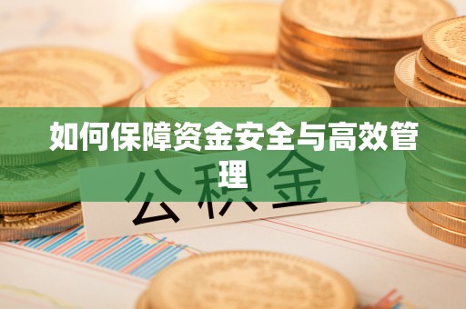 荔波如何保障资金安全与高效管理