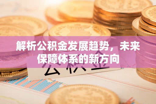 荔波解析公积金发展趋势，未来保障体系的新方向