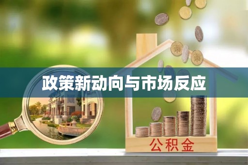 荔波政策新动向与市场反应
