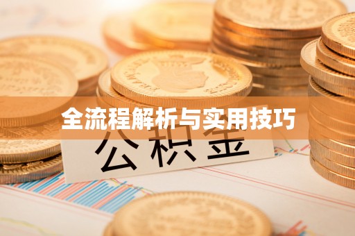 荔波全流程解析与实用技巧
