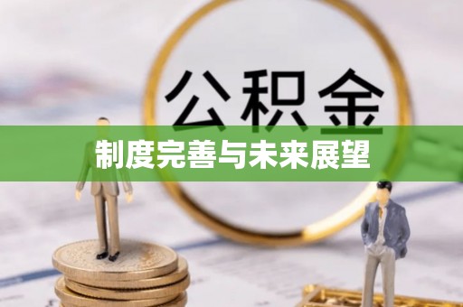 荔波制度完善与未来展望