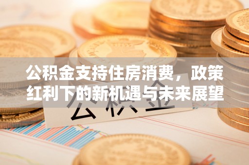 荔波公积金支持住房消费，政策红利下的新机遇与未来展望