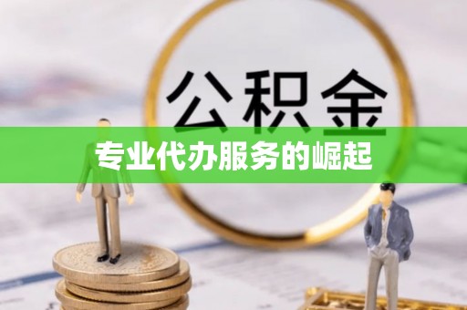 荔波专业代办服务的崛起