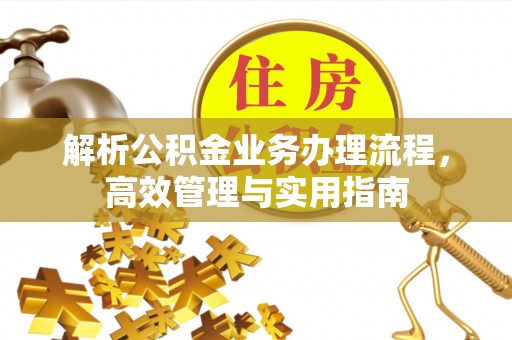 荔波解析公积金业务办理流程，高效管理与实用指南