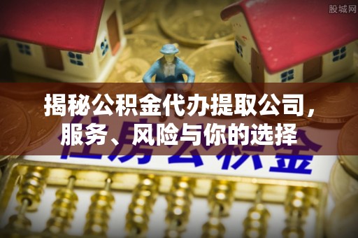 荔波揭秘公积金代办提取公司，服务、风险与你的选择