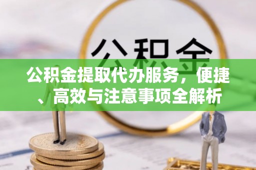荔波公积金提取代办服务，便捷、高效与注意事项全解析