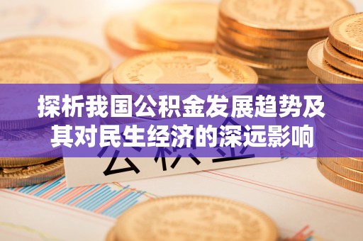 荔波探析我国公积金发展趋势及其对民生经济的深远影响