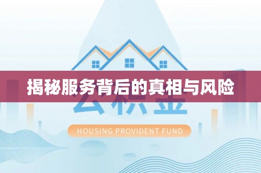 荔波揭秘服务背后的真相与风险