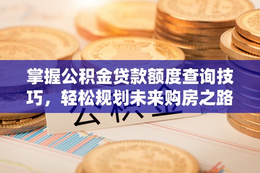 荔波掌握公积金贷款额度查询技巧，轻松规划未来购房之路
