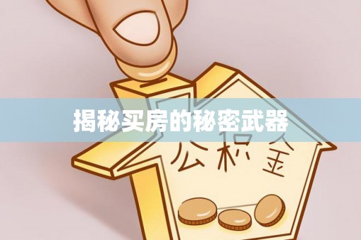 荔波揭秘买房的秘密武器