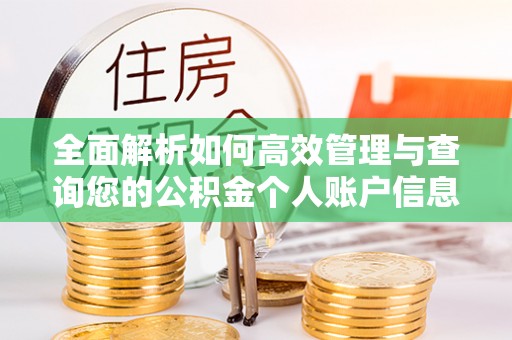 荔波全面解析如何高效管理与查询您的公积金个人账户信息