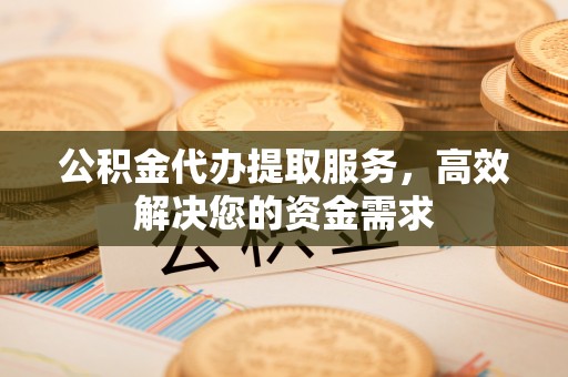 荔波公积金代办提取服务，高效解决您的资金需求