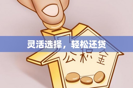 荔波灵活选择，轻松还贷