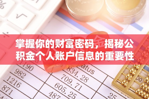 荔波掌握你的财富密码，揭秘公积金个人账户信息的重要性