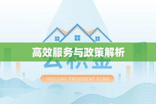 荔波高效服务与政策解析