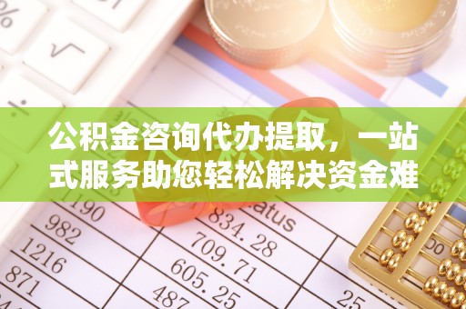 荔波公积金咨询代办提取，一站式服务助您轻松解决资金难题