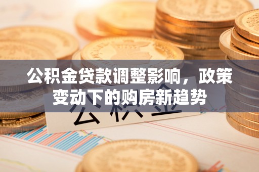 荔波公积金贷款调整影响，政策变动下的购房新趋势