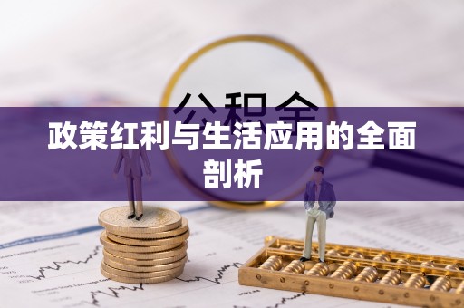 荔波政策红利与生活应用的全面剖析