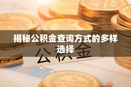 荔波揭秘公积金查询方式的多样选择