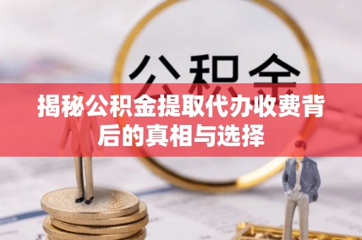 荔波揭秘公积金提取代办收费背后的真相与选择