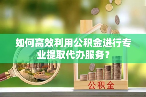 荔波如何高效利用公积金进行专业提取代办服务？