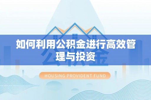 荔波如何利用公积金进行高效管理与投资