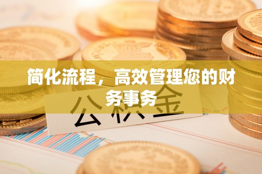 荔波简化流程，高效管理您的财务事务