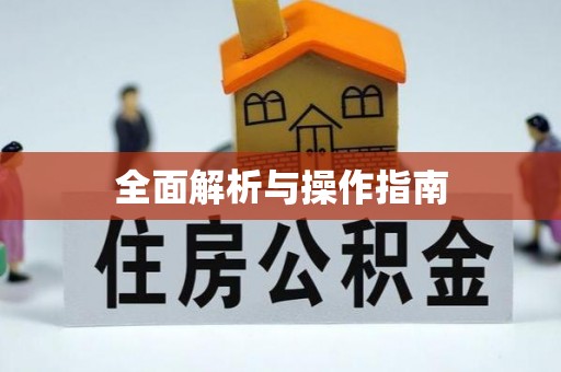 荔波全面解析与操作指南