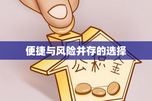 荔波便捷与风险并存的选择