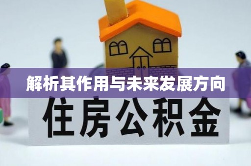 荔波解析其作用与未来发展方向