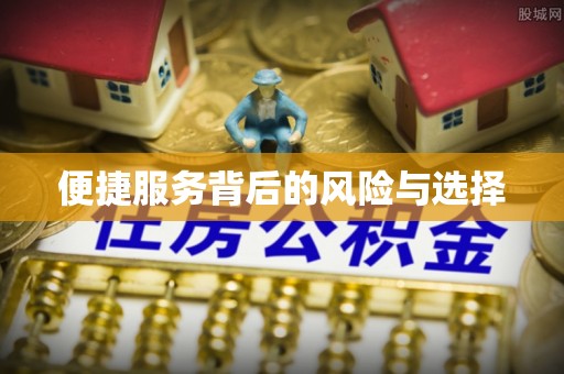 荔波便捷服务背后的风险与选择